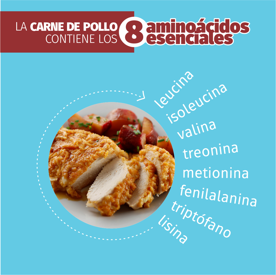 Qué beneficios aporta la carne de pollo a la alimentación de deportistas? –  Pollolin